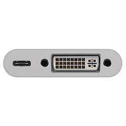 Goobay Adaptateur USB-C / DVI (M/F)