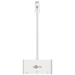 Goobay Adaptateur Multiport USB-C / VGA (M/F)