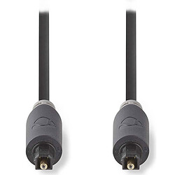 Nedis Câble Audio Optique - 1m