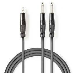 Nedis Câble Audio Stéréo 2xJack 6.5 mm mâles vers Jack 3.5 mm mâle - 5m Cordon audio stéréo 2xJack 6.5 mm vers Jack 3.5 mm (Mâles/Mâle) - 5 mètres