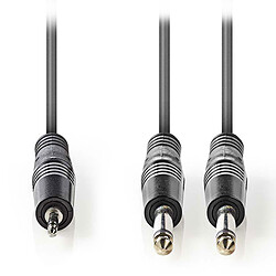 Nedis Câble Audio Stéréo 2xJack 6.5 mm mâles vers Jack 3.5 mm mâle - 5m