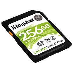 Kingston Canvas Select Plus SDS2/256GB