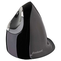 Evoluent VerticalMouse D Wireless Large