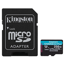 Kingston Canvas Go! Plus SDCG3/256GB