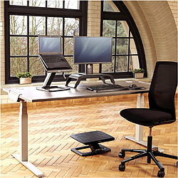 Avis Fellowes Repose-pieds réglable Hana - Noir