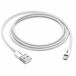 Akashi Câble USB-A vers Lightning MFI (Blanc - 2 m)