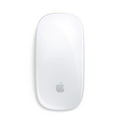 Apple Magic Mouse (2021)