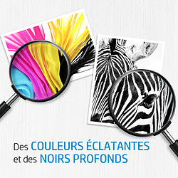 Avis HP 305 Pack de 2 (6ZD17AE) - Noir/3 Couleurs