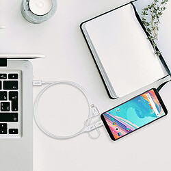 Avis Akashi Câble Eco 3-en-1 USB-C vers USB-C / Lightning / micro USB (1 m)