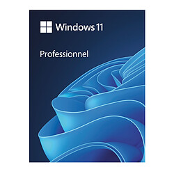 Microsoft Windows 11 Professionnel - OEM (DVD)