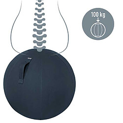 Leitz Ballon d'assise Ergo Cosy - Gris