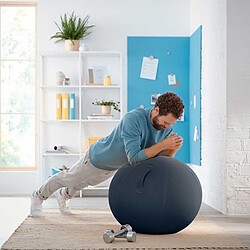 Leitz Ballon d'assise Ergo Cosy - Gris pas cher