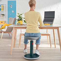 Acheter Leitz Tabouret assis/debout Ergo Cosy - Gris