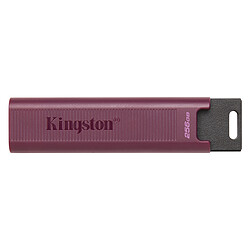 Kingston DataTraveler Max 256 Go (USB-A)