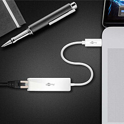 Goobay Adaptateur USB-C RJ45 Blanc pas cher