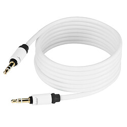 Câble Jack Real Cable