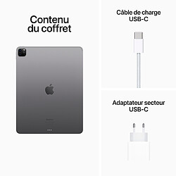 Apple iPad Pro (2022) 12.9 pouces 128 Go Wi-Fi Gris Sidéral pas cher