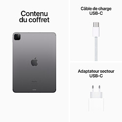 Apple iPad Pro (2022) 11 pouces 512 Go Wi-Fi + Cellular Gris Sidéral pas cher