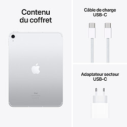 Apple iPad (2022) 64 Go Wi-Fi + Cellular Argent pas cher