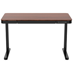 REKT RGo Desk Office (Marron/Noir)