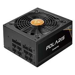 Chieftec Polaris PPS-1250FC Alimentation modulaire 1250W ATX 12V 2.53 - Ventilateur 140 mm - 80PLUS Gold