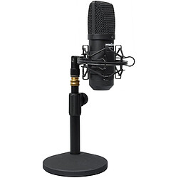 Microphone PC