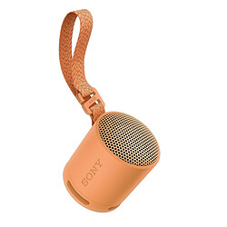 Sony SRS-XB100 Corail