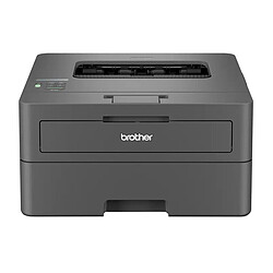 Brother HL-L2400DWE Imprimante laser monochrome (USB 2.0 / Wi-Fi / AirPrint / Mopria) avec 4 mois d'essai gratuit EcoPro