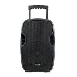 Gemini AS-10TOGO Enceinte sans fil 500 Watts RMS - Bluetooth - Tuner FM - USB/Carte mémoire SD - avec 1 micro filaire