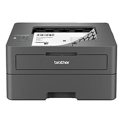 Brother HL-L2445DW Imprimante laser monochrome (USB 2.0 / Ethernet / Wi-Fi / AirPrint / Google Cloud Print)