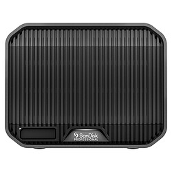 SanDisk Professional G-Raid Mirror 44 To