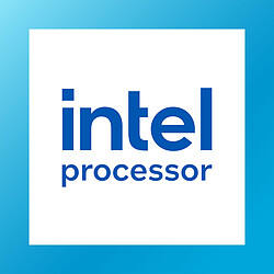 Intel Processor 300 (3.9 GHz)