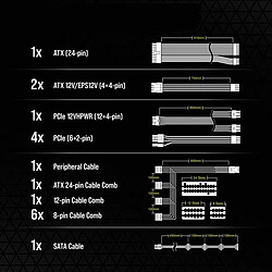 Corsair Premium Pro Kit de Câble d'alimentation type 5 Gen 5 - Noir pas cher