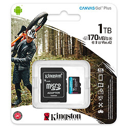 Avis Kingston Canvas Go! Plus SDCG3/1TB