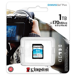 Avis Kingston SD Plus Canvas Go! SDG3/1TB