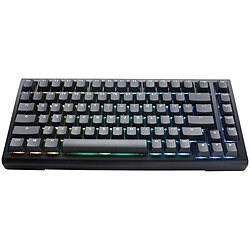 Ducky Channel ProjectD Tinker 75 ISO (Cherry MX Speed Silver)
