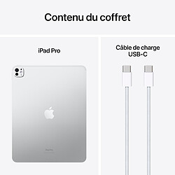 Acheter Apple iPad Pro M4 (2024) 13 pouces 1 To Wi-Fi Argent (Nano Texture)