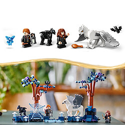 LEGO Harry Potter 76432 La Forêt interdite : les créatures magiques pas cher