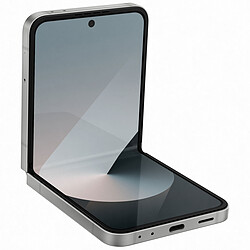 Samsung Galaxy Z Flip 6 Gris (12 Go / 256 Go)