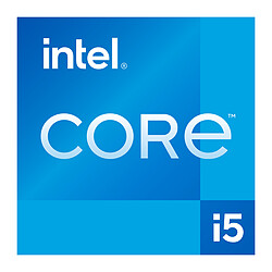 Intel Core i5-13400F (2.5 GHz / 4.6 GHz) - Version tray Processeur 10-Core (6 Performance-Cores + 4 Efficient-Cores) 16-Threads Socket 1700 Cache L3 20 Mo 0.010 micron (version tray sans ventilateur - garantie Intel 3 ans)