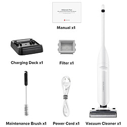 Roborock Flexi Pro