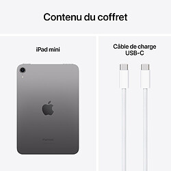 Apple iPad mini (2024) 128 Go Wi-Fi Gris Sidéral pas cher