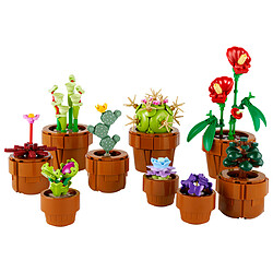 LEGO Icons 10329 Les plantes miniatures