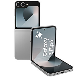 Samsung Galaxy Z Flip 6 Gris (12 Go / 512 Go)