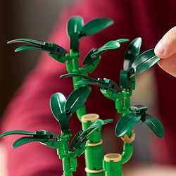 Acheter LEGO Botanique 10344 Le bambou de la chance
