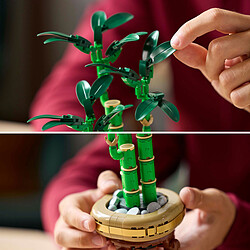 LEGO Botanique 10344 Le bambou de la chance pas cher