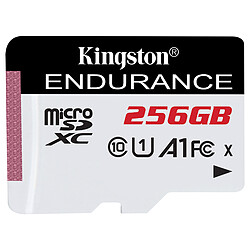 Kingston Endurance SDCE/256GB