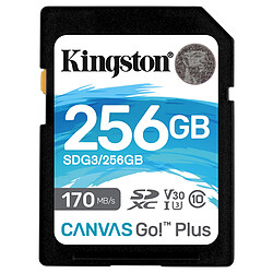 Kingston SD Plus Canvas Go! SDG3/256GB