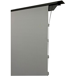 Hisense PX3-PRO + Oray ALR Série 2 Motorisé ascendant 100"