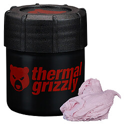 Acheter Thermal Grizzly Putty Advance (30 grammes)